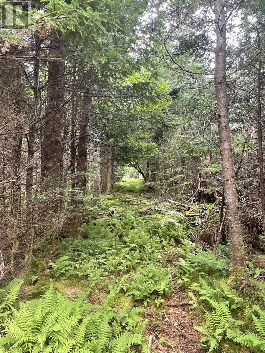 East Petpeswick Road, East Petpeswick, Nova Scotia  B0J 2L0 - Photo 13 - 202420101