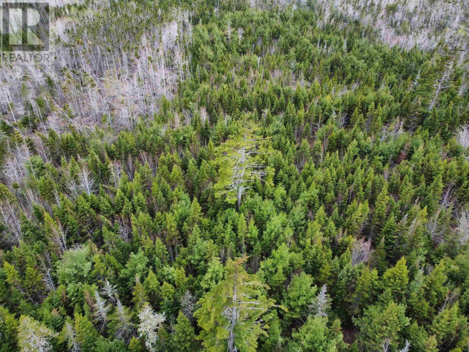 65 Brule Point Road, Brule, Nova Scotia  B0K 1V0 - Photo 10 - 202420152