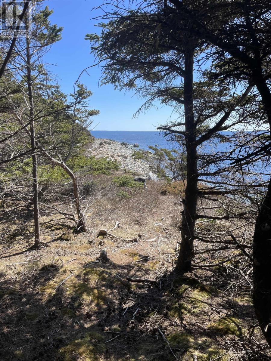 Lot 7 Jeddore Cape, Pleasant Point, Nova Scotia  B0J 2L0 - Photo 19 - 202420180