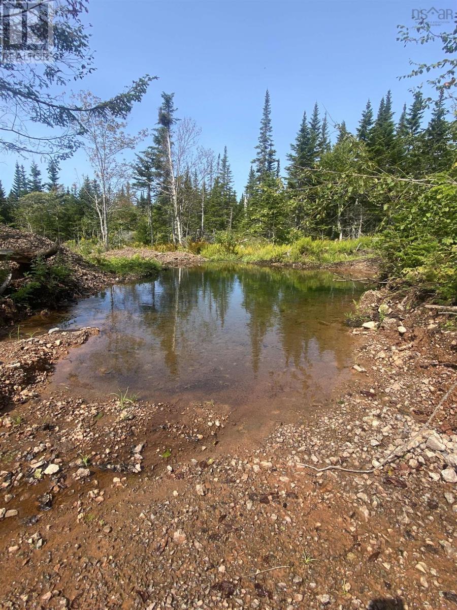 0 Whycocomagh Mountain Road, Whycocomagh, Nova Scotia  B0E 3M0 - Photo 15 - 202420195