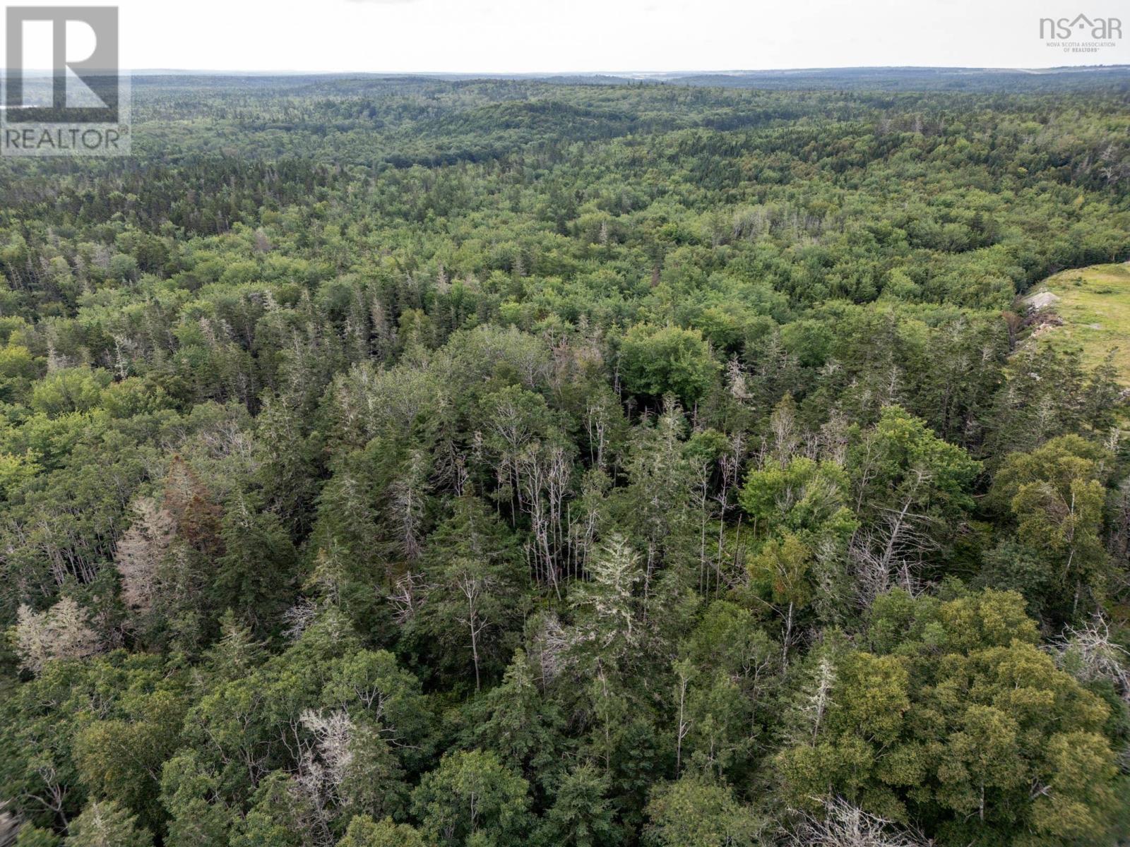 Lot Greenville Road, Greenville, Nova Scotia  B5A 5J6 - Photo 2 - 202420248