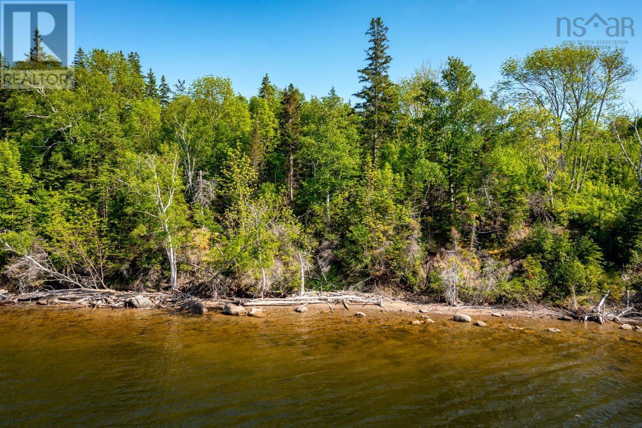 Lot 1 South Cove Road, South Cove, Nova Scotia  B0E 1T0 - Photo 10 - 202420286