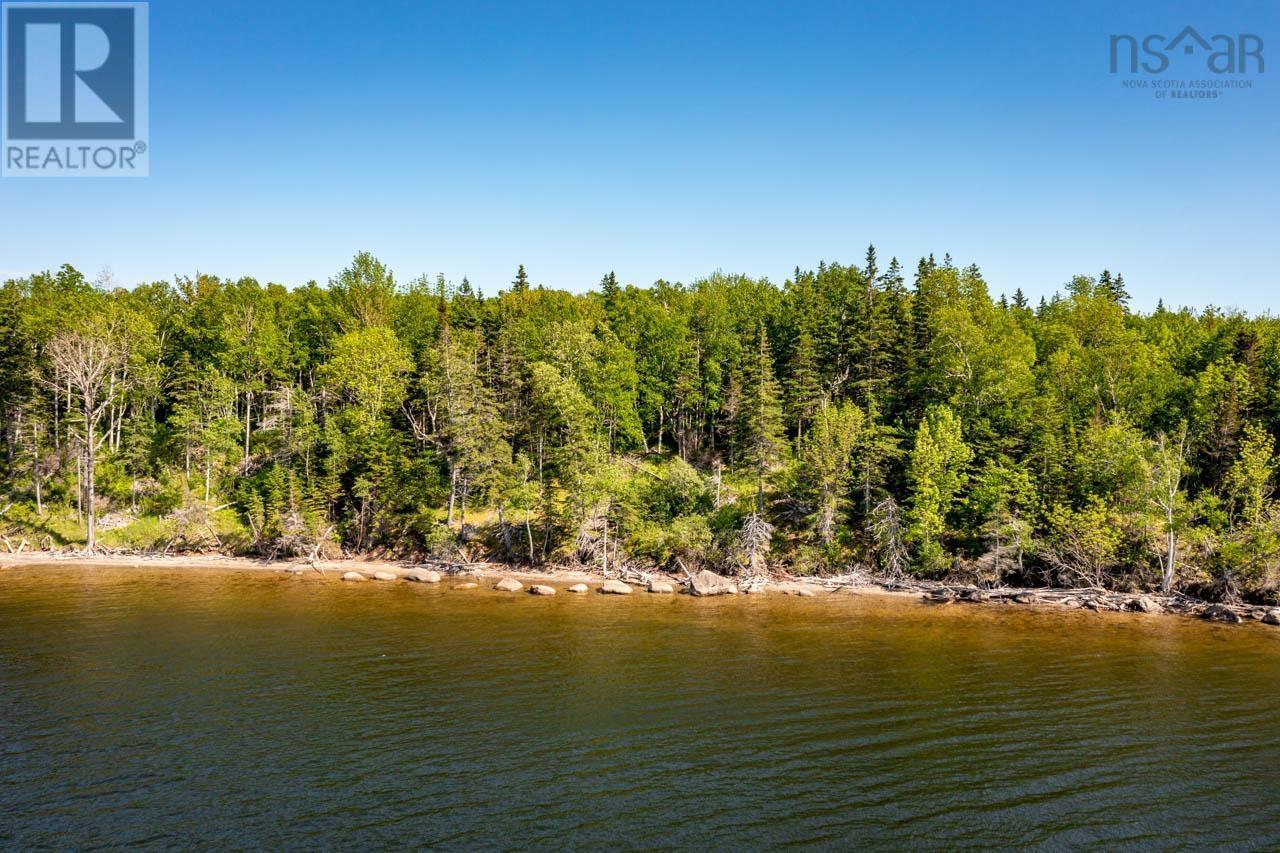 Lot 1 South Cove Road, South Cove, Nova Scotia  B0E 1T0 - Photo 11 - 202420286