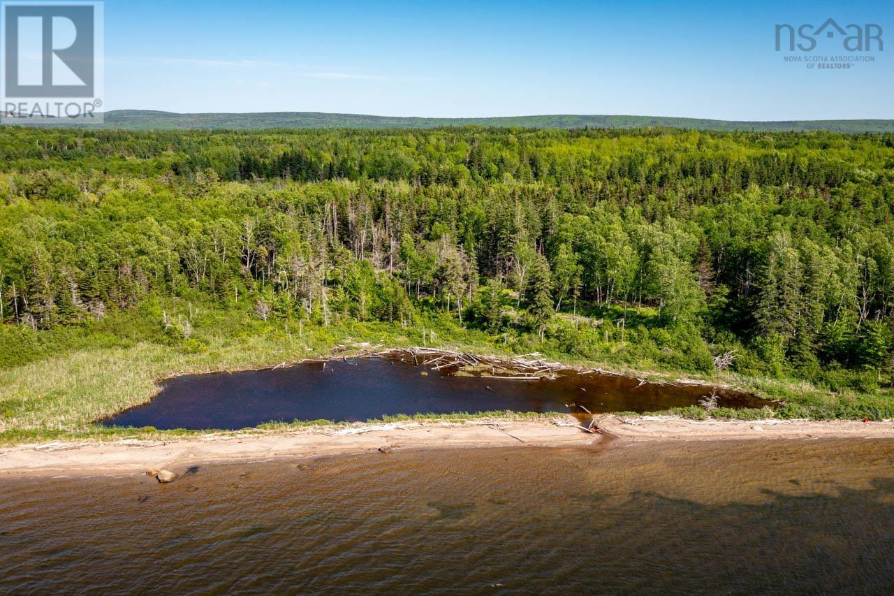 Lot 1 South Cove Road, South Cove, Nova Scotia  B0E 1T0 - Photo 6 - 202420286