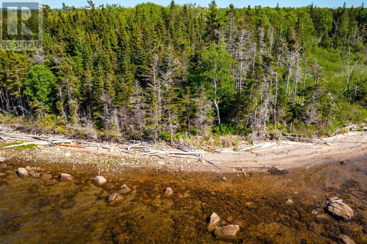 Lot 2 South Cove Road, South Cove, Nova Scotia  B0E 1T0 - Photo 18 - 202420287