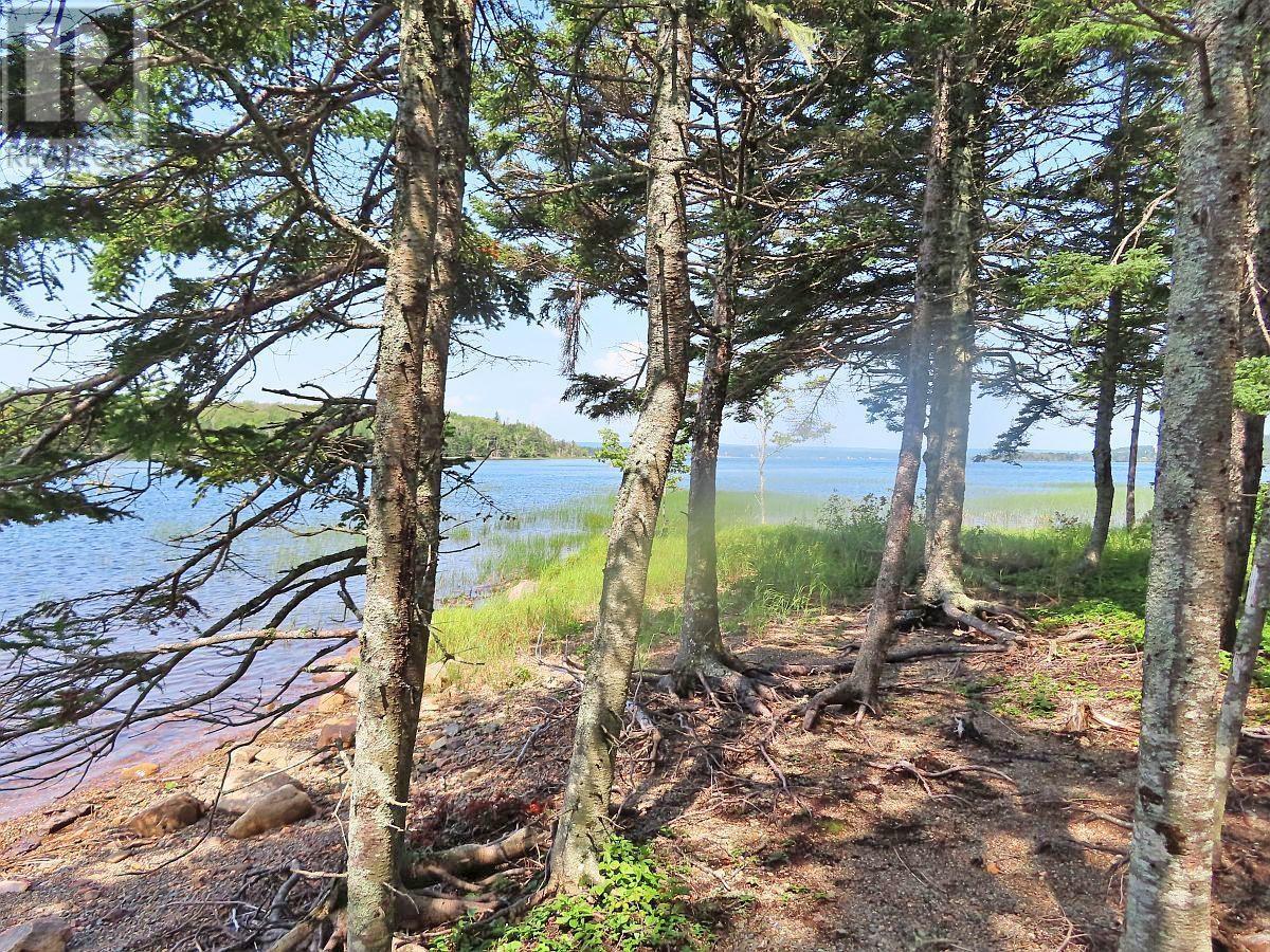 83.9 Acres Grand Mira South Road, Grand Mira South, Nova Scotia  B1K 1H2 - Photo 13 - 202420417