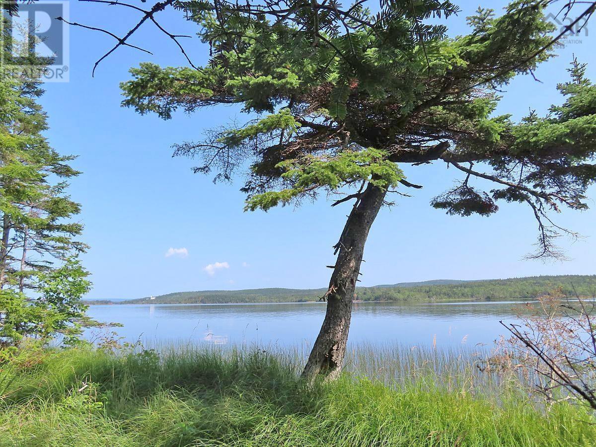 83.9 Acres Grand Mira South Road, Grand Mira South, Nova Scotia  B1K 1H2 - Photo 18 - 202420417