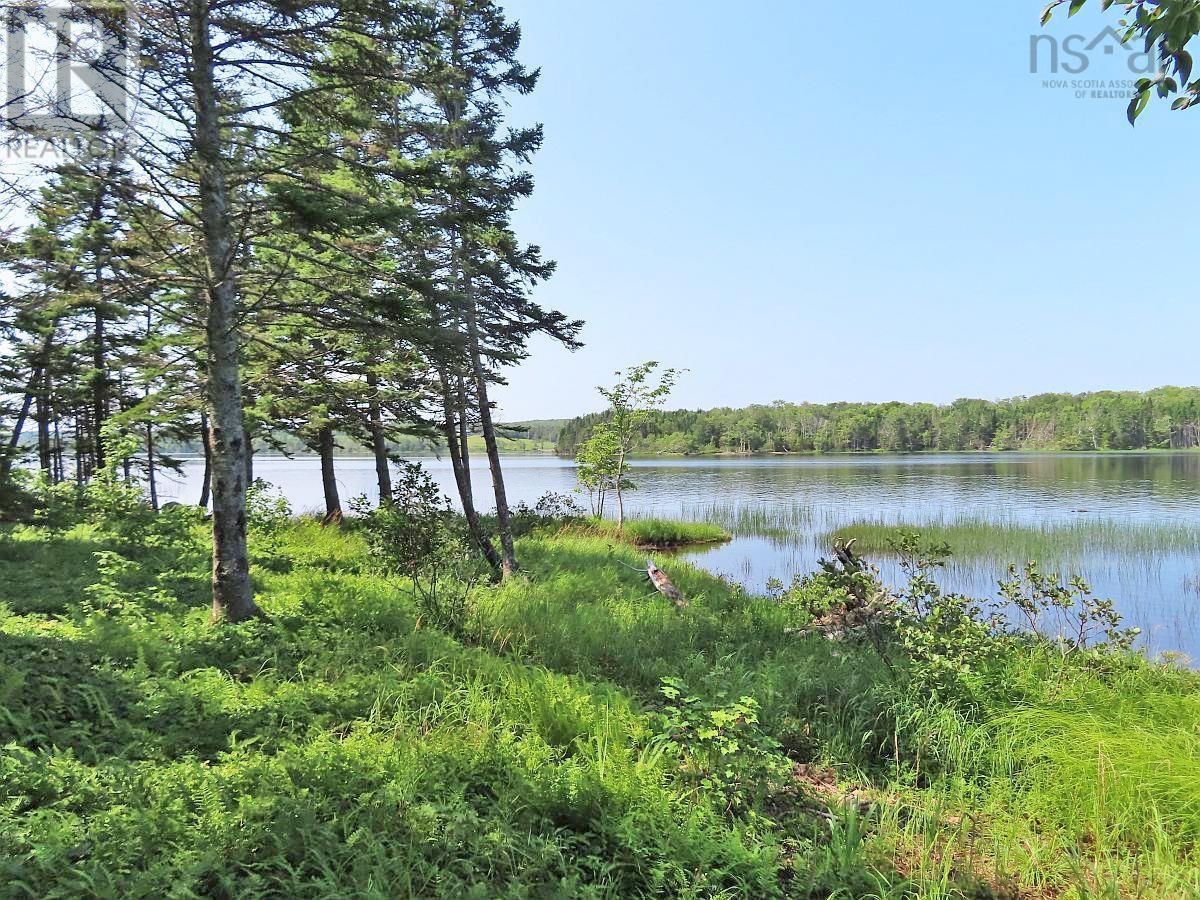 83.9 Acres Grand Mira South Road, Grand Mira South, Nova Scotia  B1K 1H2 - Photo 25 - 202420417