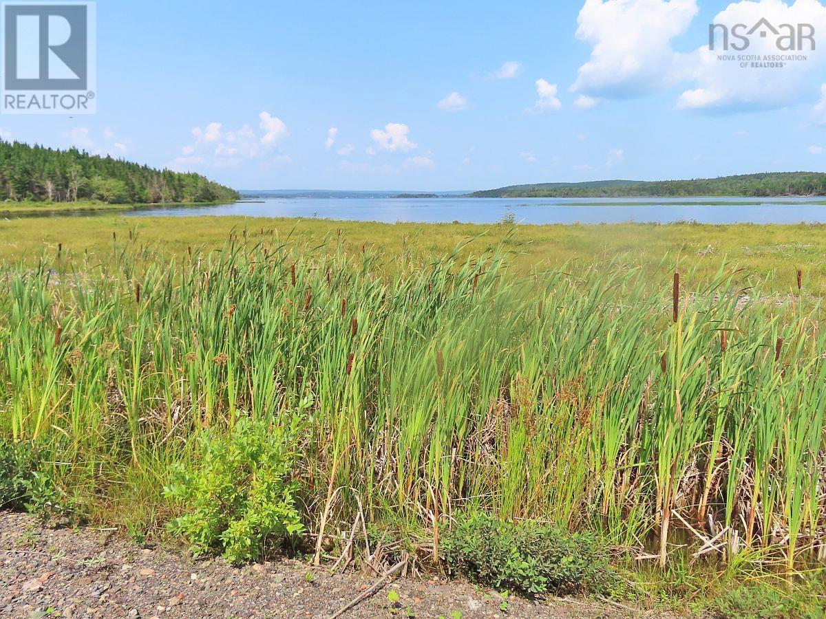 83.9 Acres Grand Mira South Road, Grand Mira South, Nova Scotia  B1K 1H2 - Photo 39 - 202420417