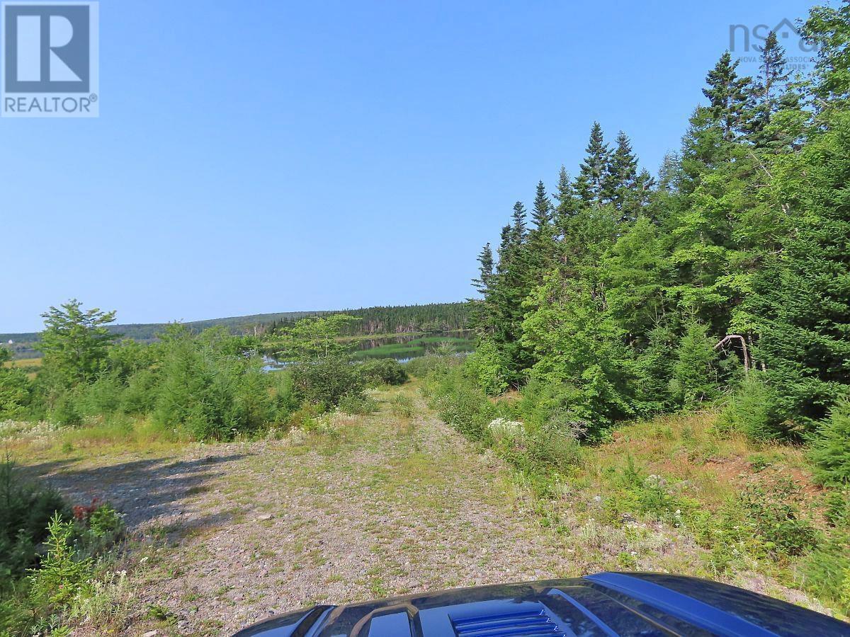 83.9 Acres Grand Mira South Road, Grand Mira South, Nova Scotia  B1K 1H2 - Photo 40 - 202420417