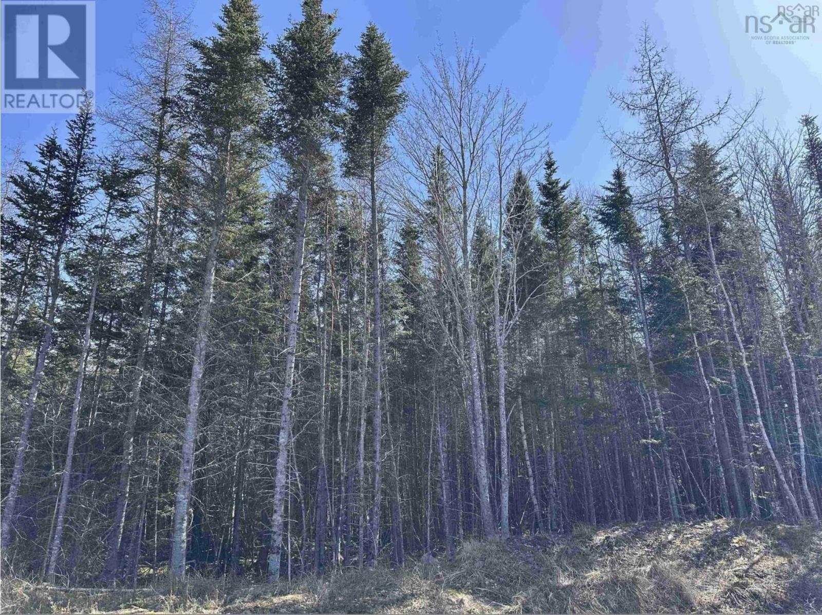 Lot 16 - Lower River Road, Grantville, Nova Scotia  B0E 1J0 - Photo 12 - 202420502