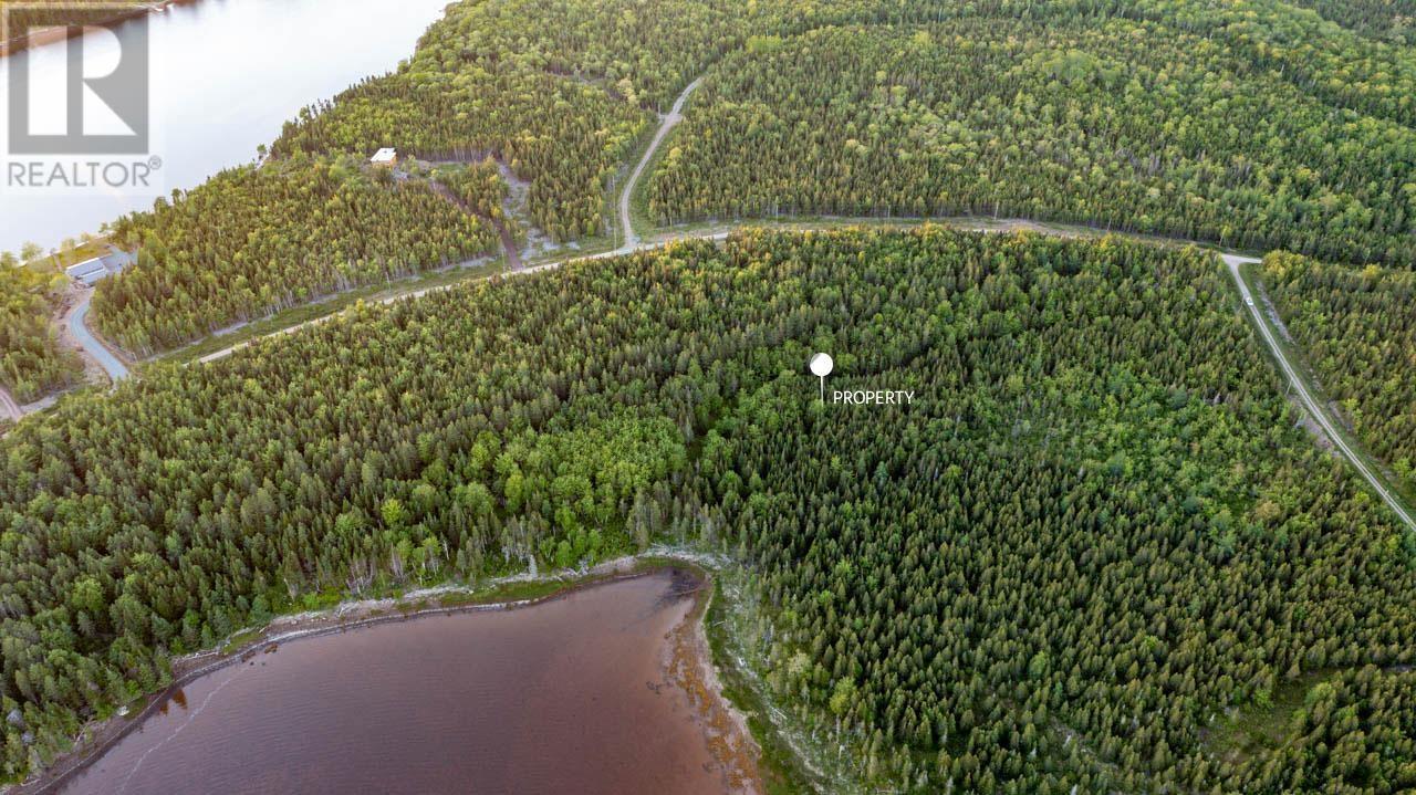 Lot 1 Evanston Road, River Inhabitants, Evanston, Nova Scotia  B0E 1J0 - Photo 8 - 202420528