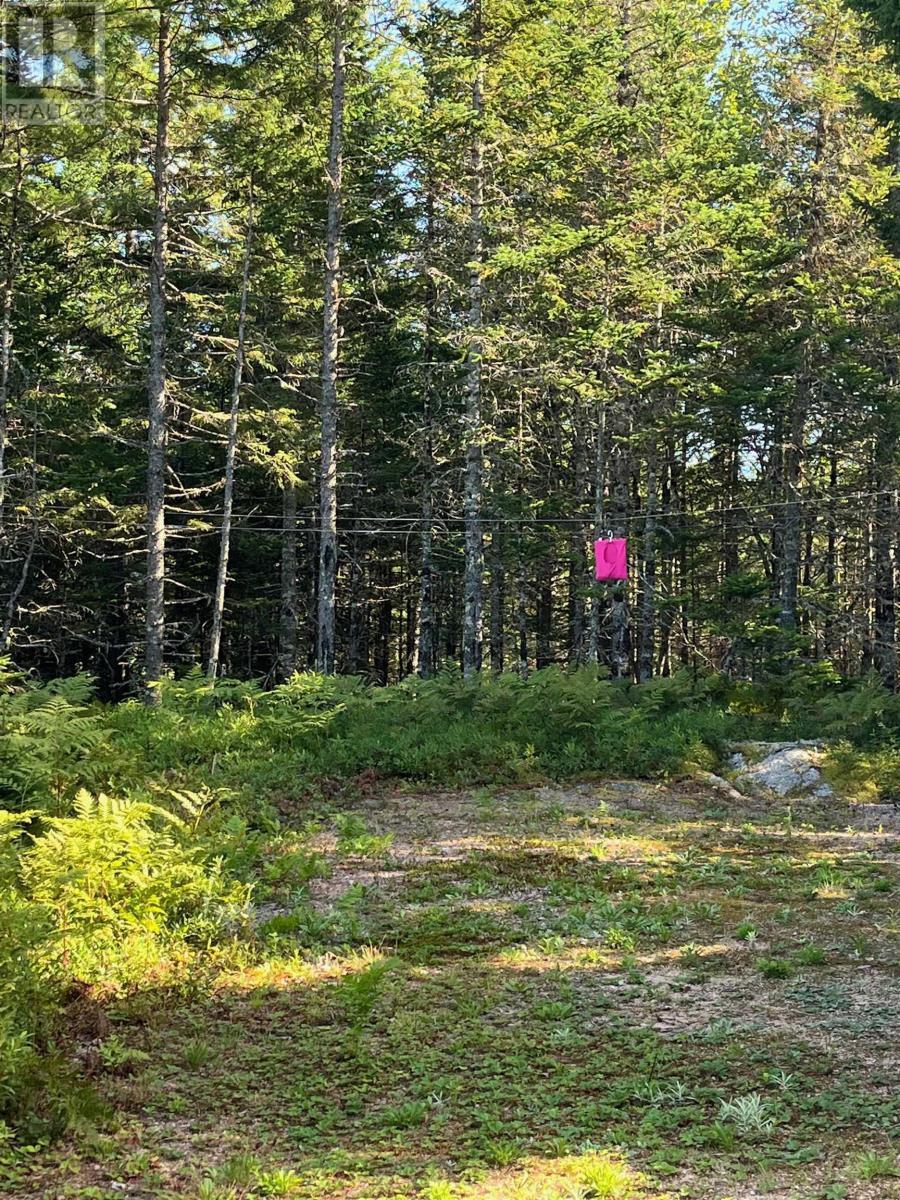 Lot 26 597 Eddy Drive, Springfield, Nova Scotia  B0R 1H0 - Photo 38 - 202420548