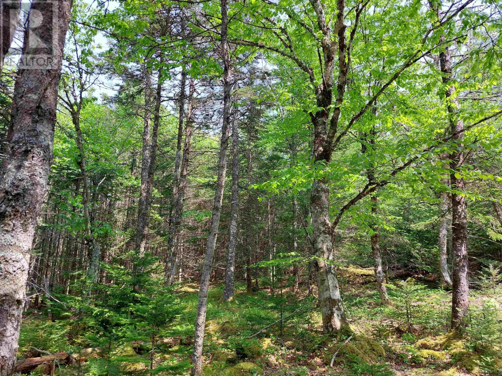 Lot 23IJ Diana Mountain Rd., the points west bay, Nova Scotia