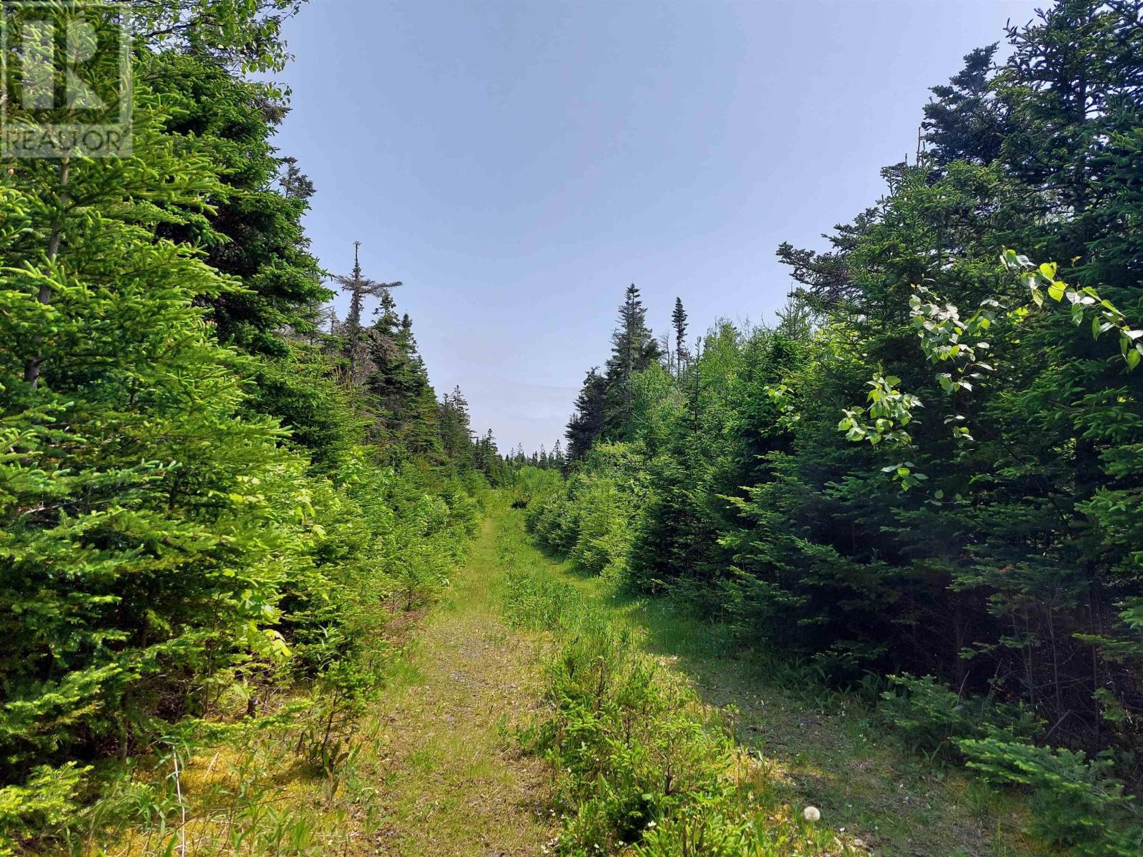 Lot 23ij Diana Mountain Rd., The Points West Bay, Nova Scotia  B0E 3K0 - Photo 2 - 202420549