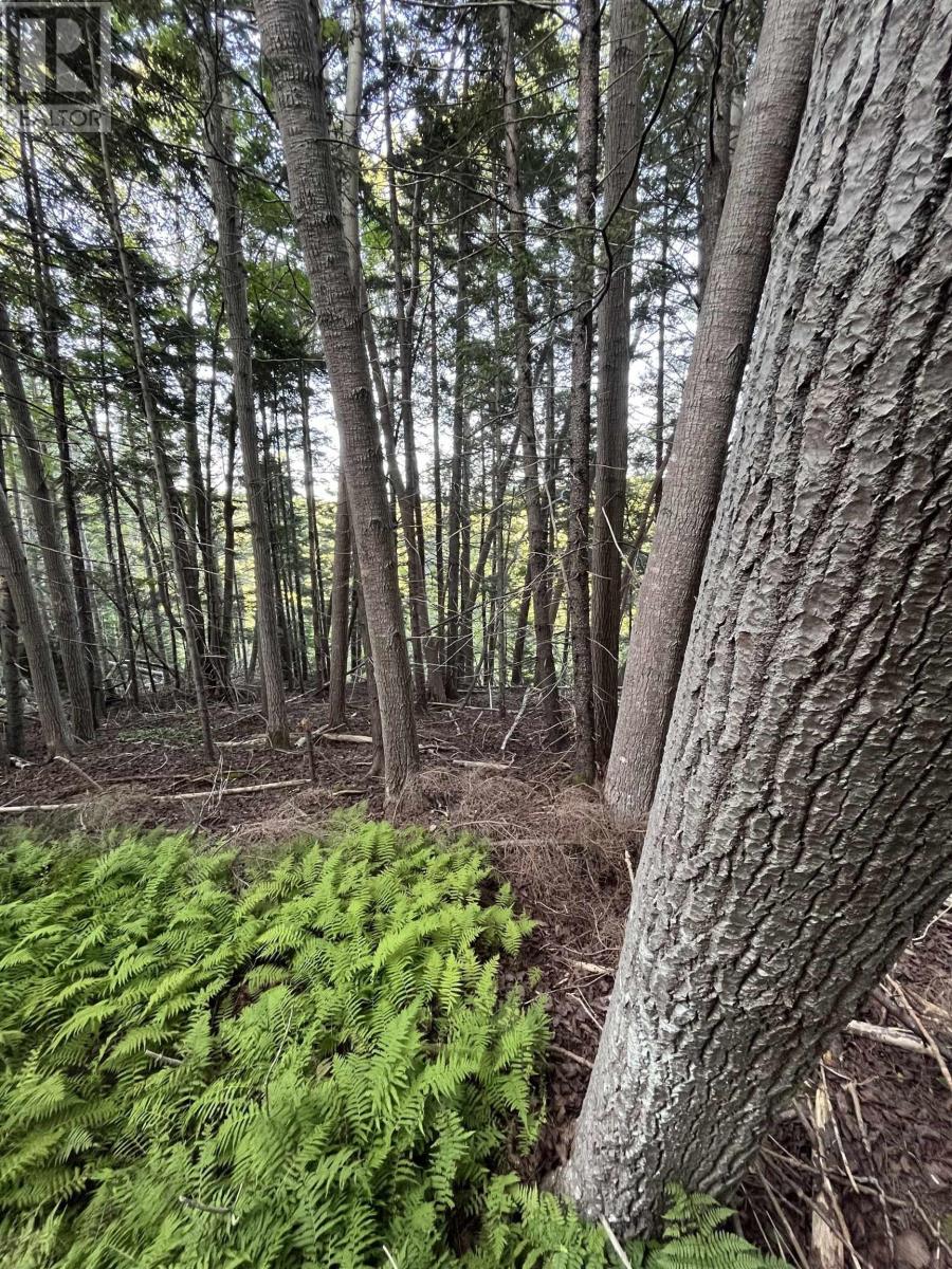 Lot Clementsport Road, clementsport, Nova Scotia