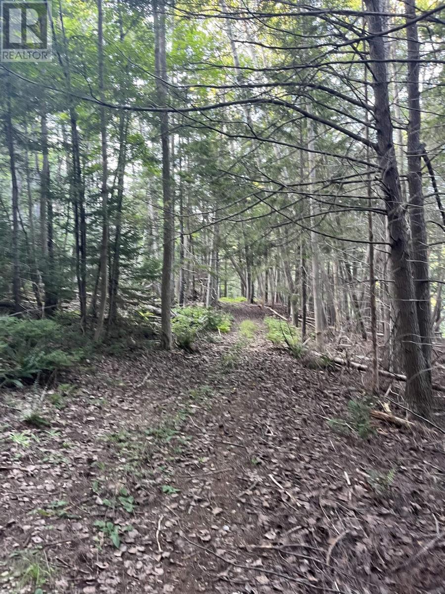 Lot Clementsport Road, Clementsport, Nova Scotia  B0S 1E0 - Photo 16 - 202420588