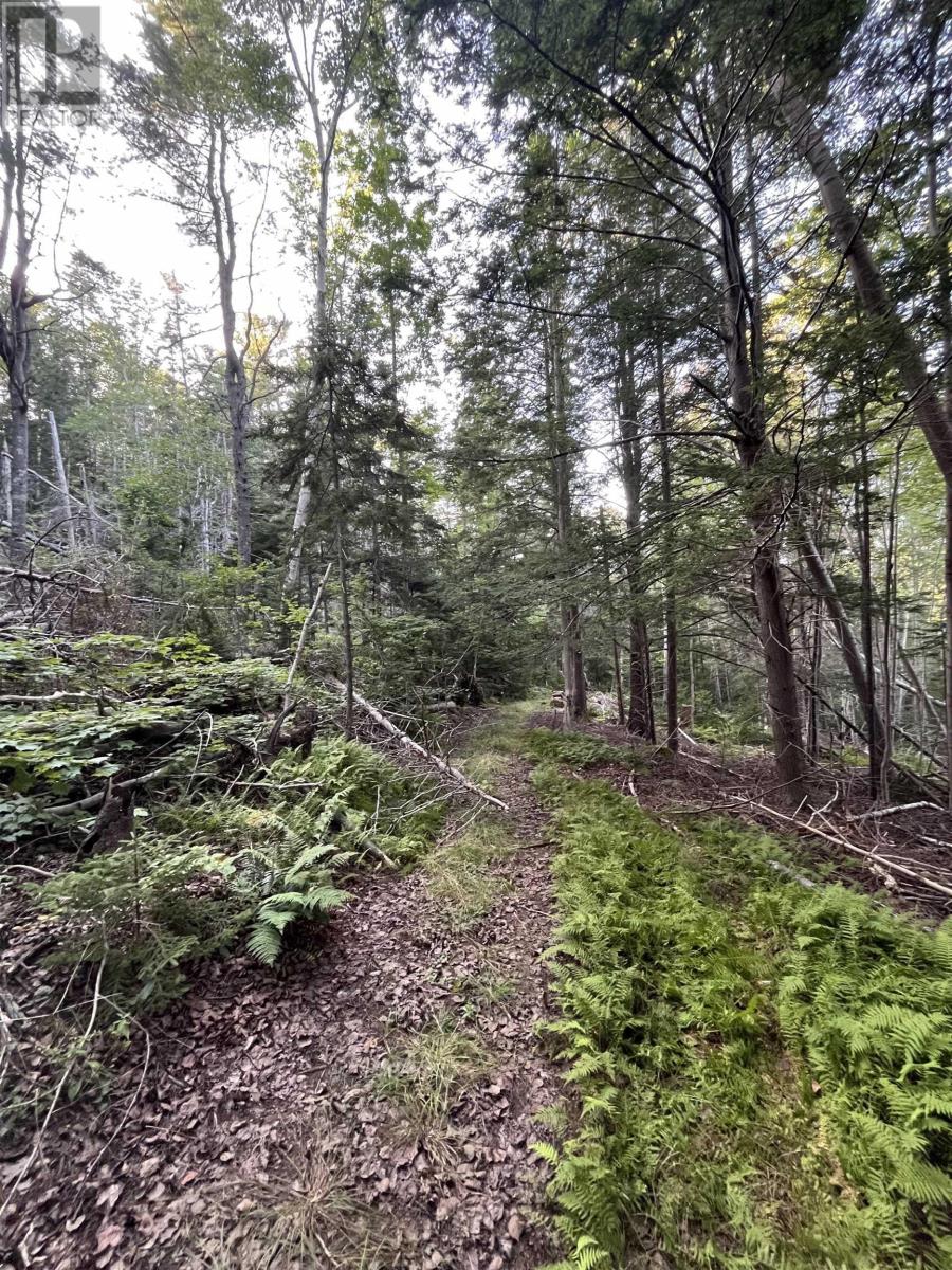 Lot Clementsport Road, Clementsport, Nova Scotia  B0S 1E0 - Photo 2 - 202420588