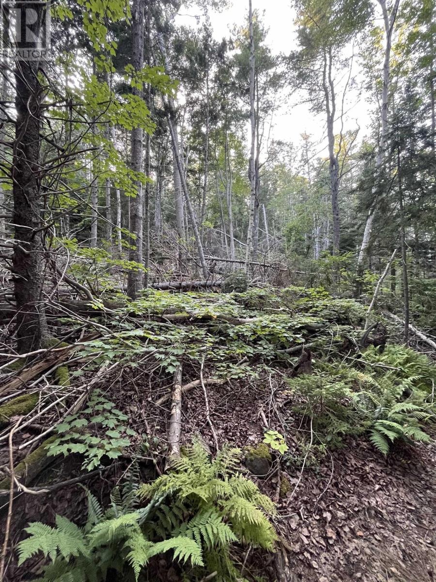 Lot Clementsport Road, Clementsport, Nova Scotia  B0S 1E0 - Photo 3 - 202420588