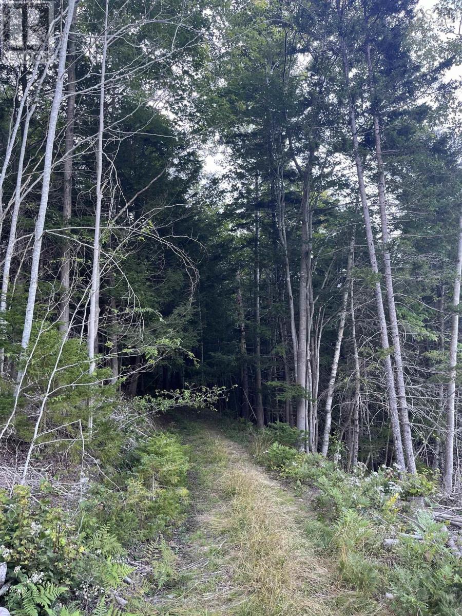 Lot Clementsport Road, Clementsport, Nova Scotia  B0S 1E0 - Photo 7 - 202420588