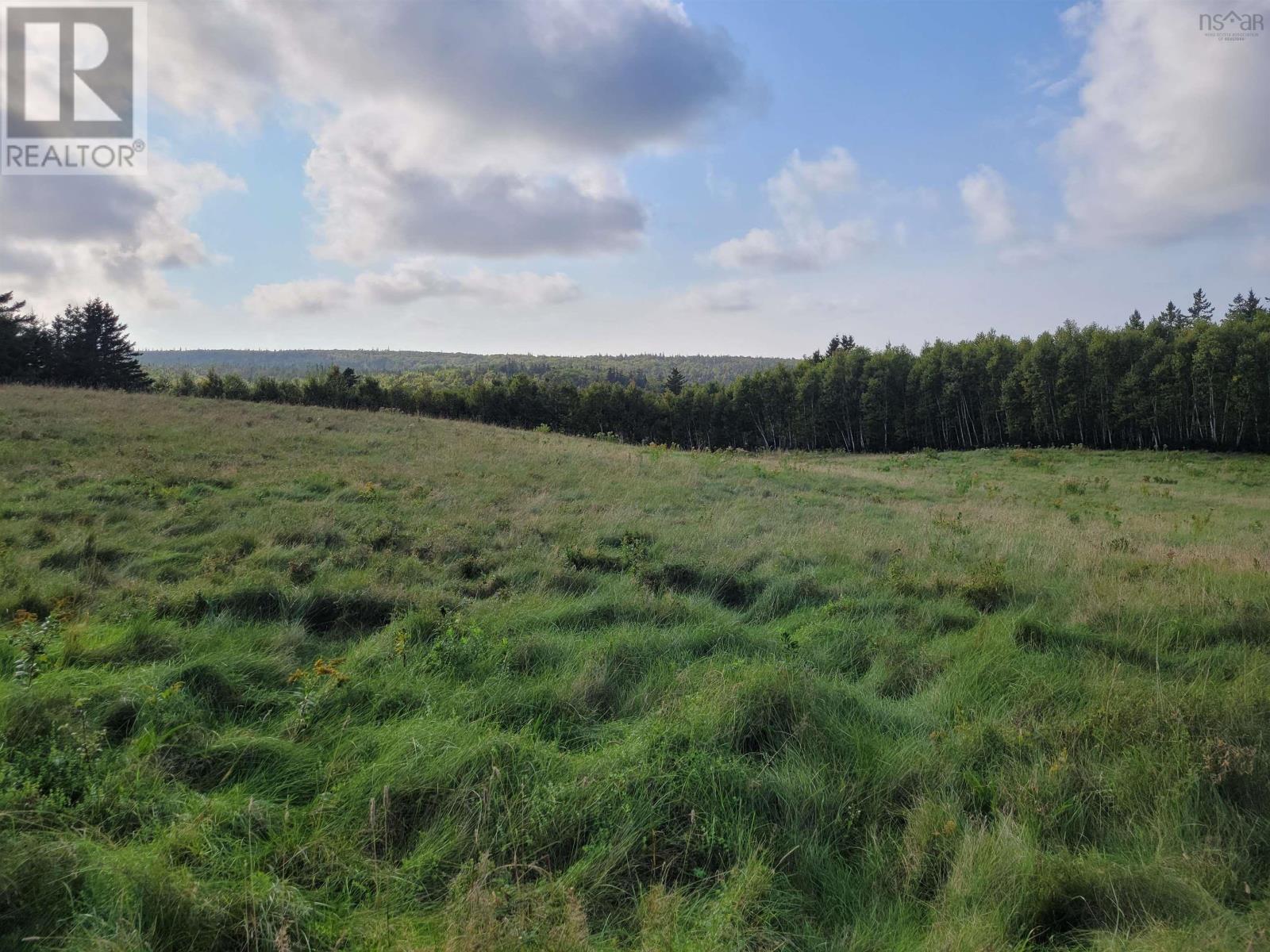 Lot 2 Cabot Trail, Margaree Harbour, Nova Scotia  B0E 2B0 - Photo 11 - 202420681