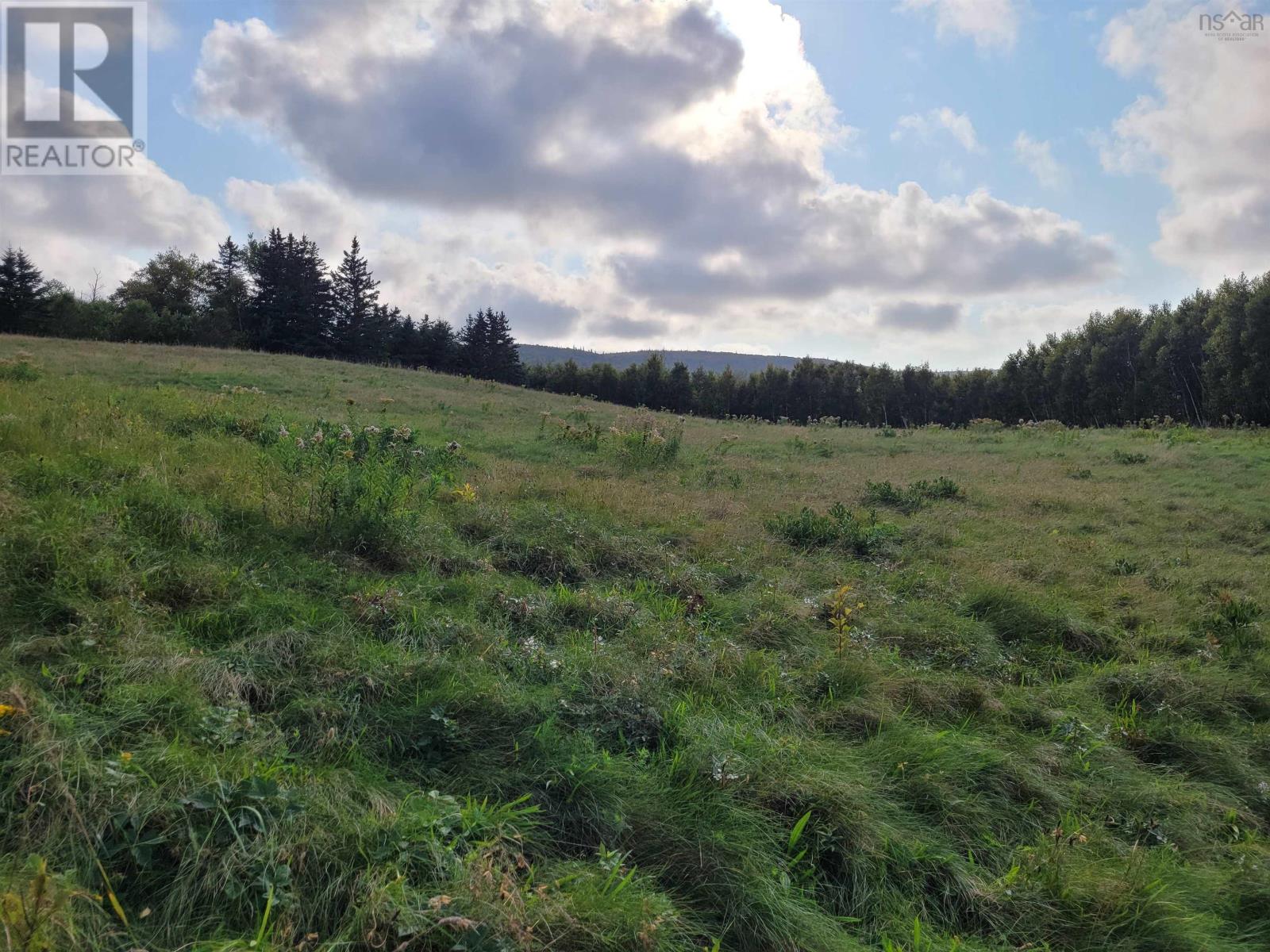 Lot 2 Cabot Trail, Margaree Harbour, Nova Scotia  B0E 2B0 - Photo 6 - 202420681