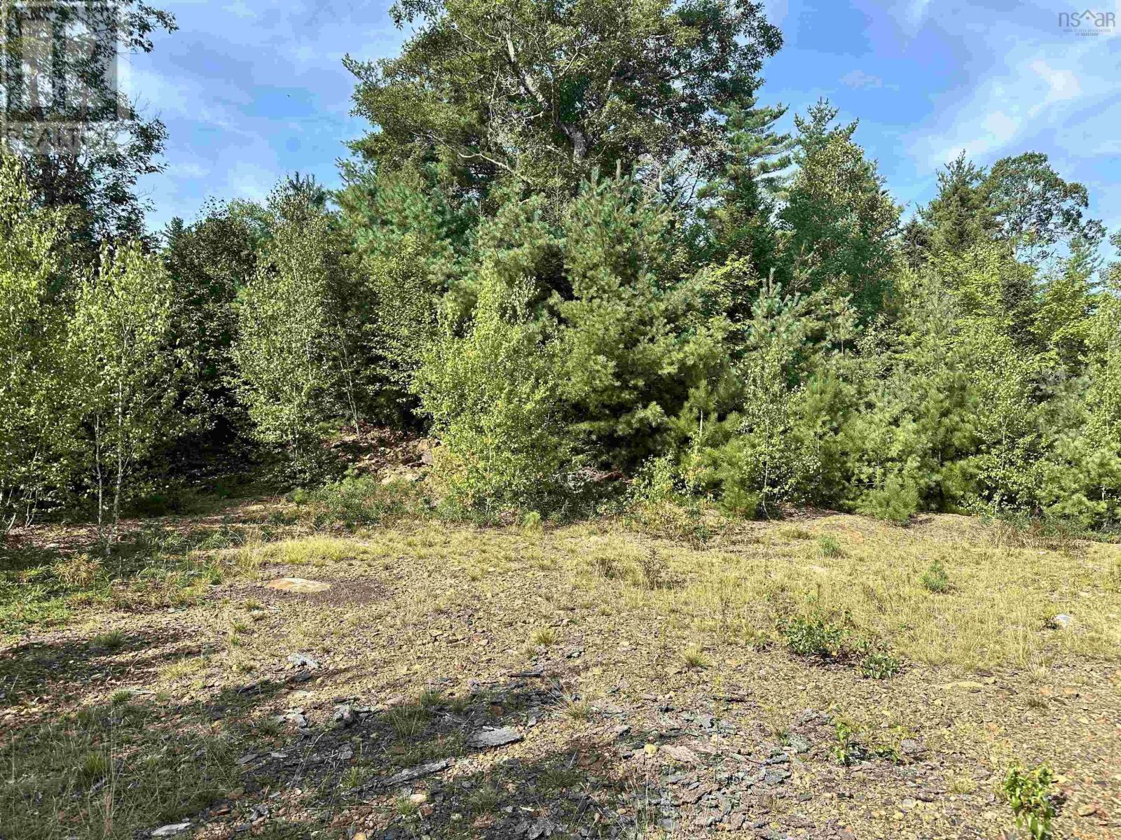 Lot 5 Highway 210, Greenfield, Nova Scotia  B0T 1E0 - Photo 3 - 202420696