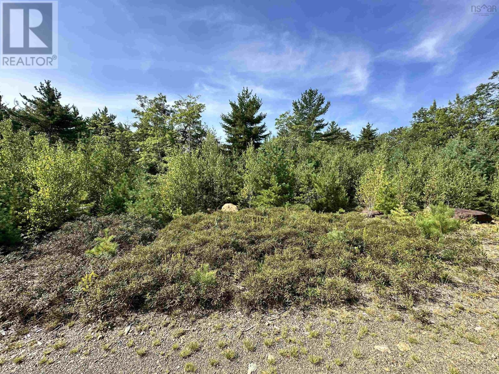 Lot 6 Highway 210, Greenfield, Nova Scotia  B0T 1E0 - Photo 2 - 202420698