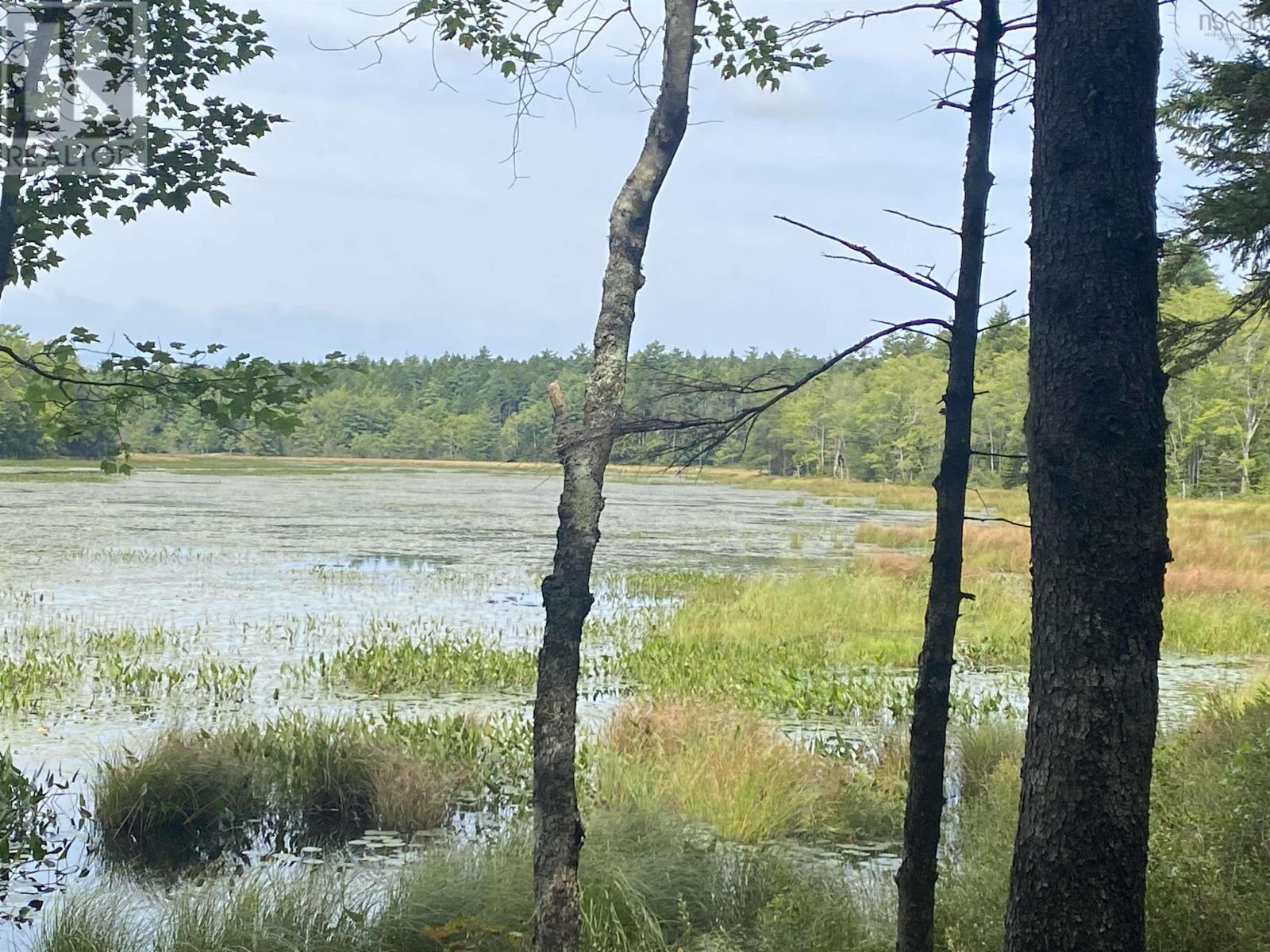 Adelbert Wile Road, Waterloo, Nova Scotia  B4V 7T3 - Photo 2 - 202420704