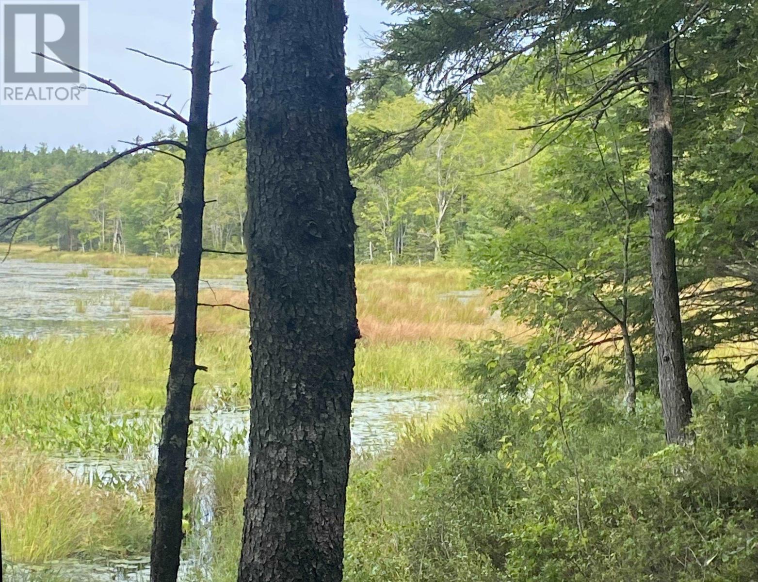 Adelbert Wile Road, Waterloo, Nova Scotia  B4V 7T3 - Photo 3 - 202420704