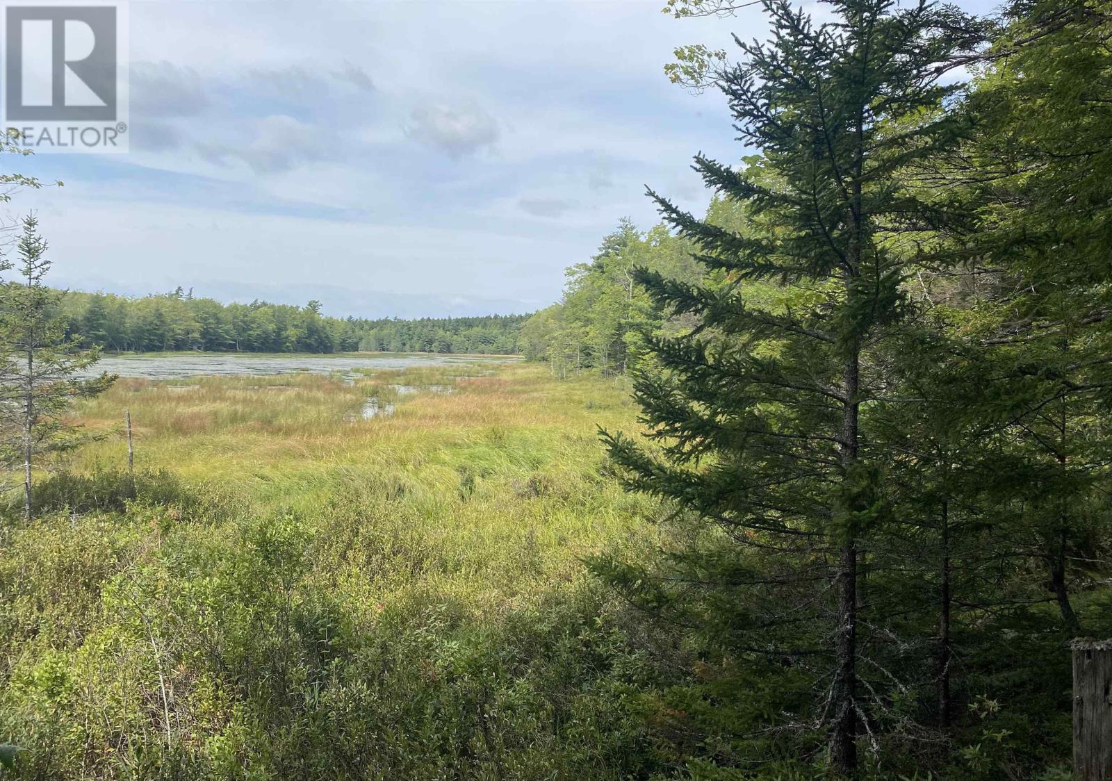 Adelbert Wile Road, Waterloo, Nova Scotia  B4V 7T3 - Photo 4 - 202420704