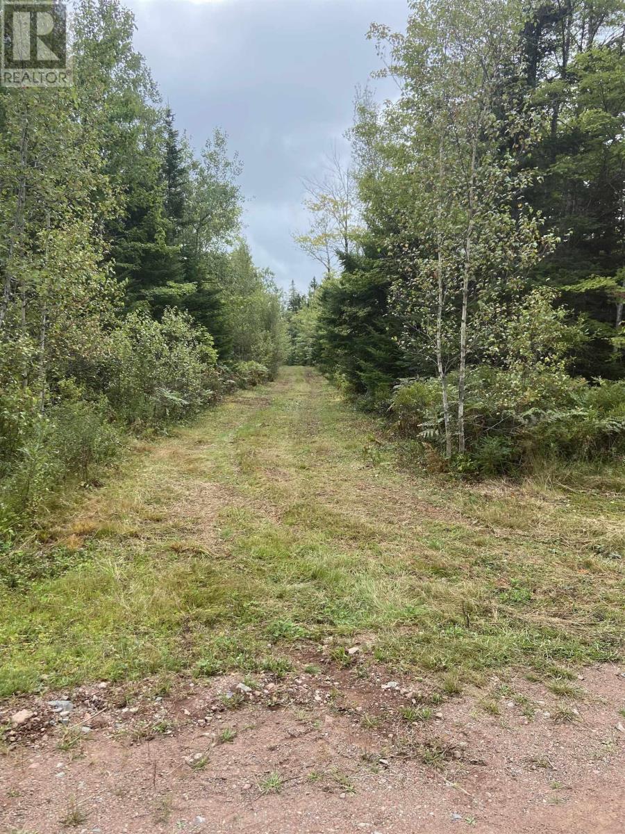 Acreage, Westchester, Nova Scotia  B0M 2A0 - Photo 3 - 202420782