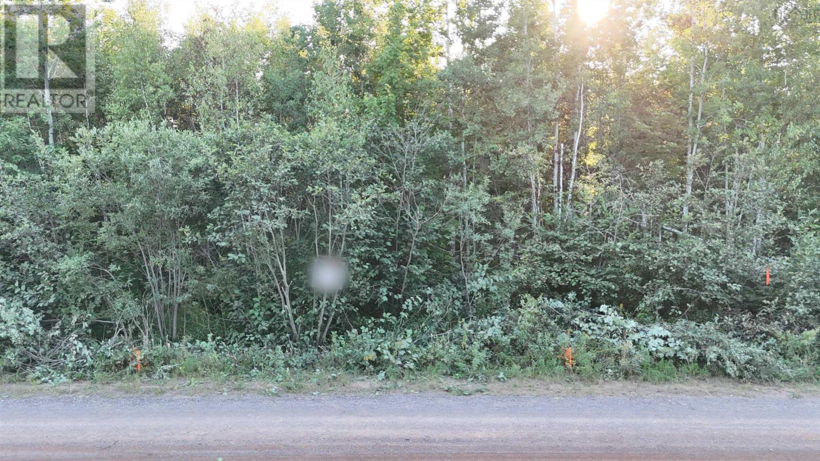 Lot 11 Joudrey Road, Louisville, Nova Scotia  B0K 1N0 - Photo 2 - 202420823