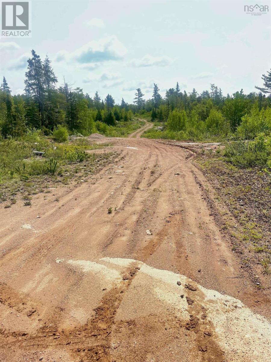 Lots Highway 12, Aldersville, Nova Scotia  B0J 2M0 - Photo 12 - 202420958