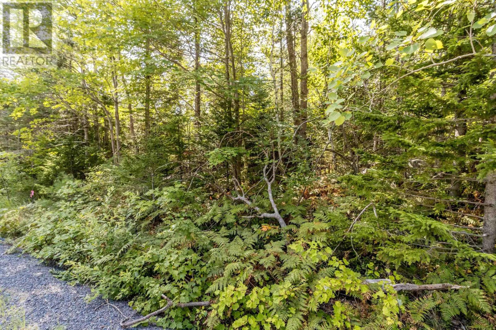 Lot 1 Aylesford Road, Morristown, Nova Scotia  B0P 1C0 - Photo 3 - 202421062