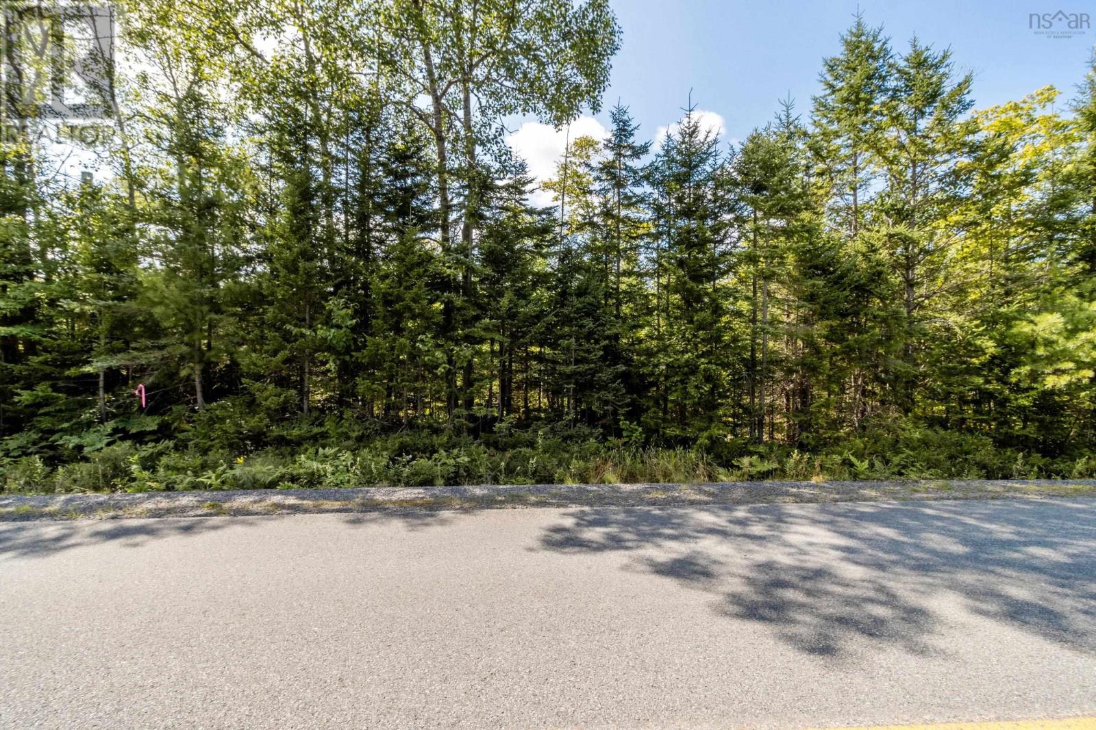 Lot 1 Aylesford Road, Morristown, Nova Scotia  B0P 1C0 - Photo 6 - 202421062