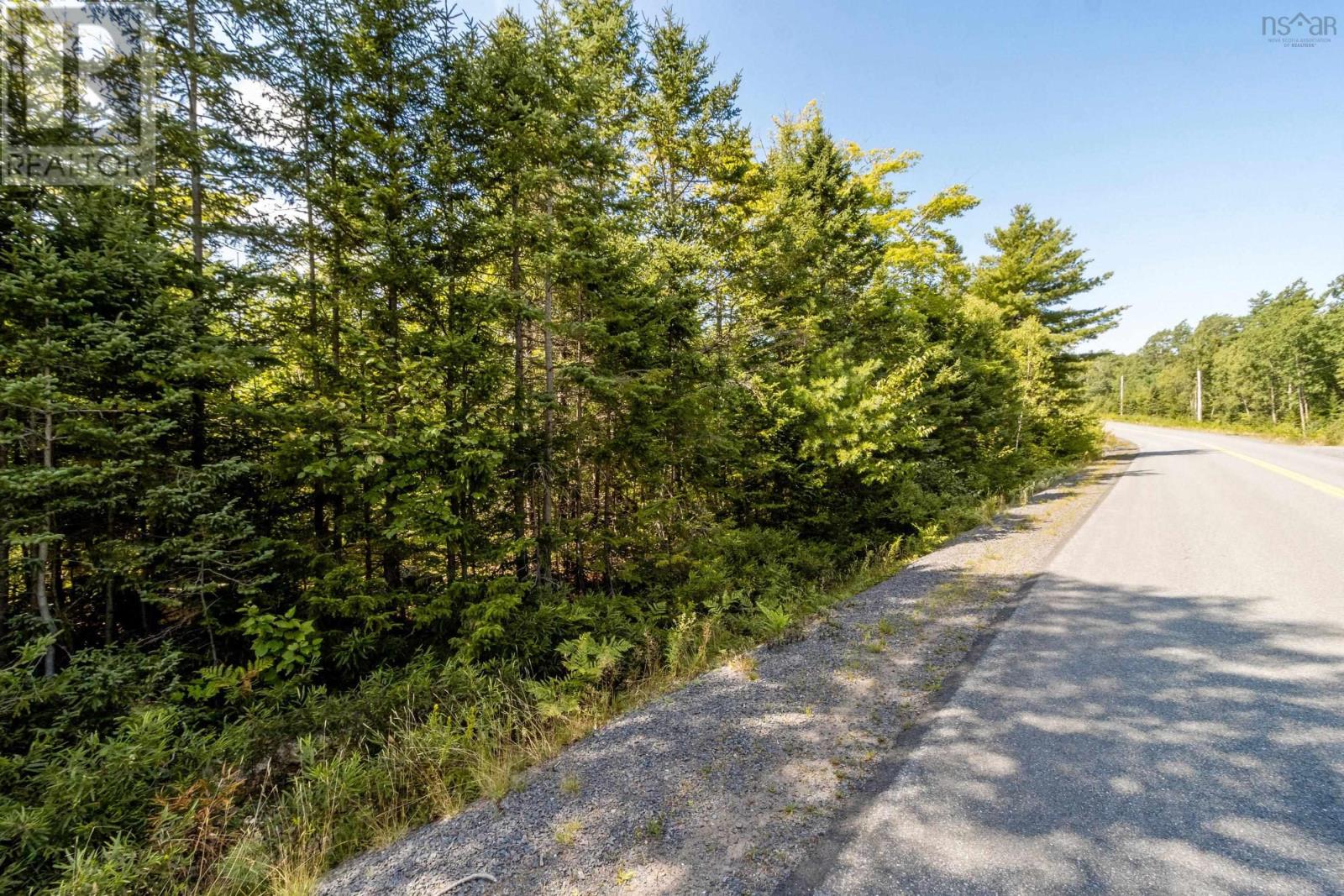 Lot 1 Aylesford Road, Morristown, Nova Scotia  B0P 1C0 - Photo 7 - 202421062