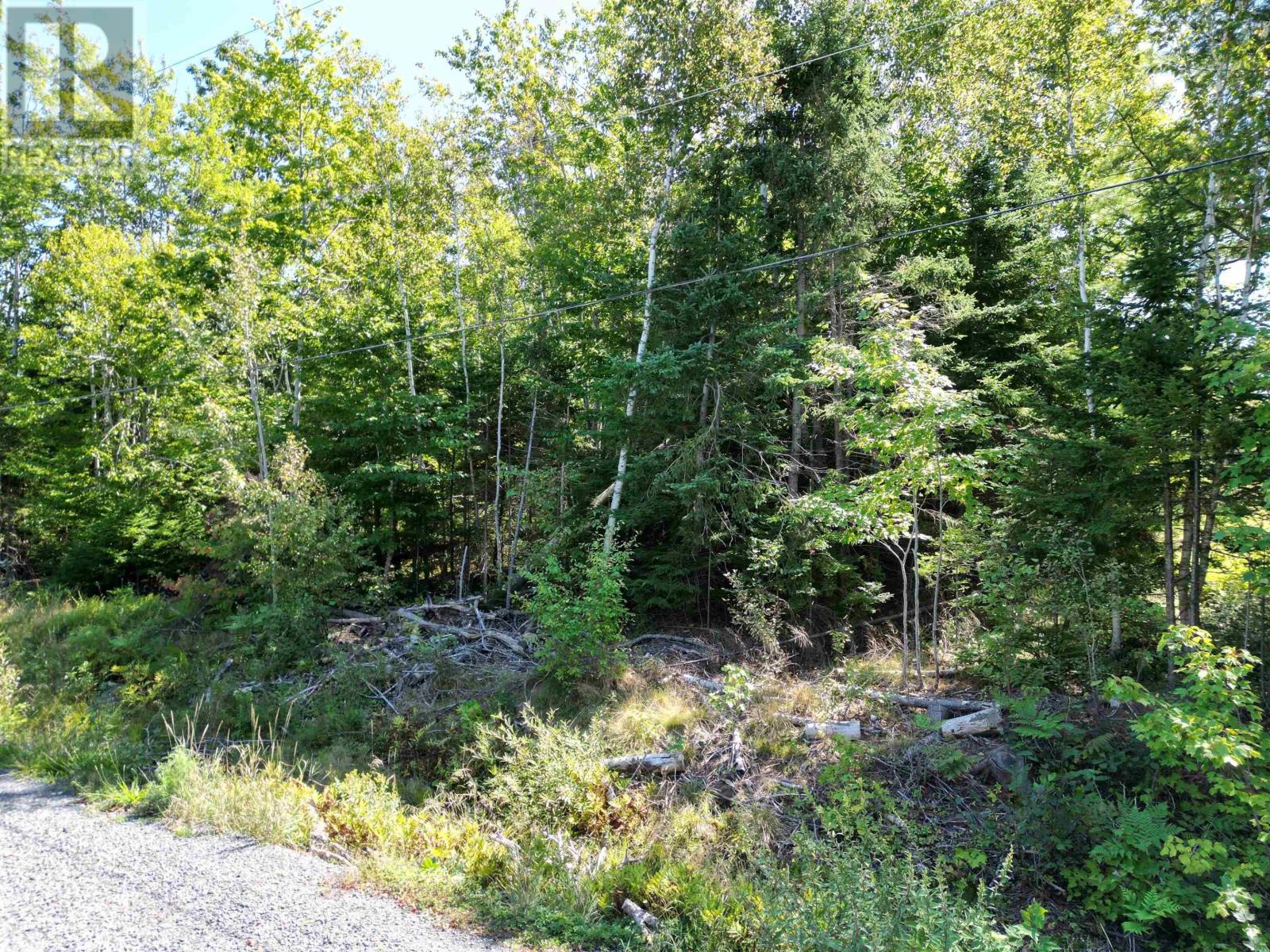 Lot Glen East Road, Bay View, Nova Scotia  B0K 1H0 - Photo 1 - 202421092