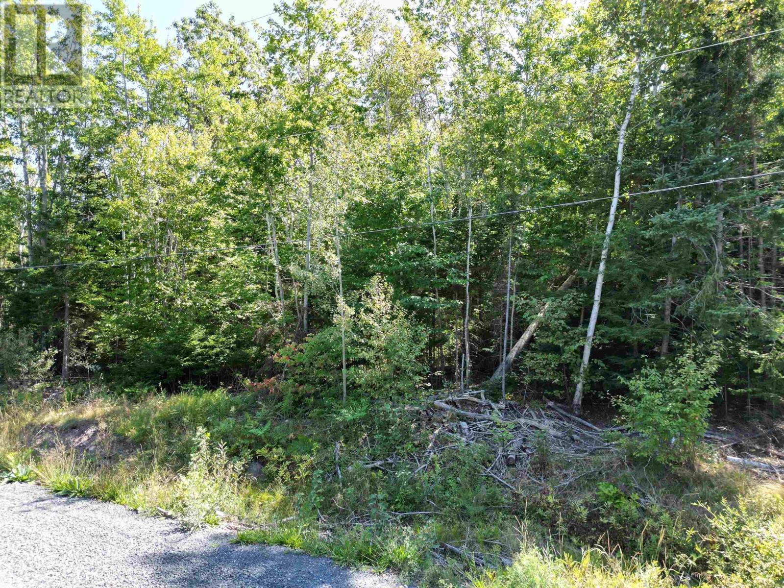 Lot Glen East Road, Bay View, Nova Scotia  B0K 1H0 - Photo 3 - 202421092