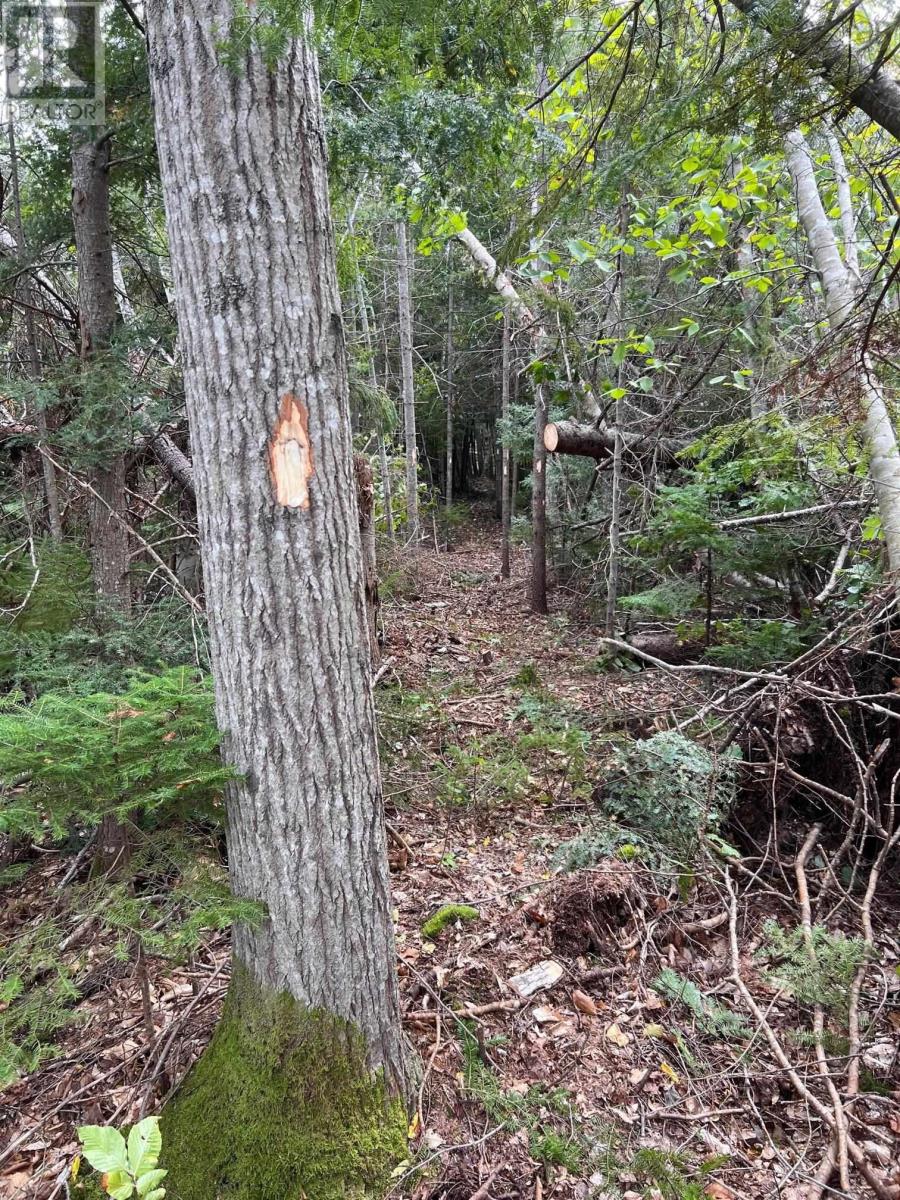 Lot Glen East Road, Bay View, Nova Scotia  B0K 1H0 - Photo 5 - 202421092