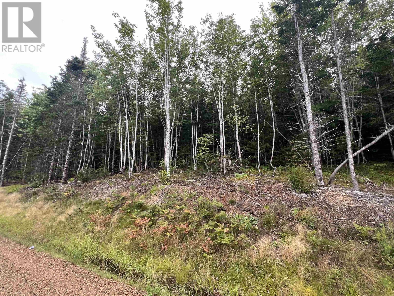 Lot 6 Lochiel Lake Road, South Lochaber, Nova Scotia  B2G 2L3 - Photo 10 - 202421160