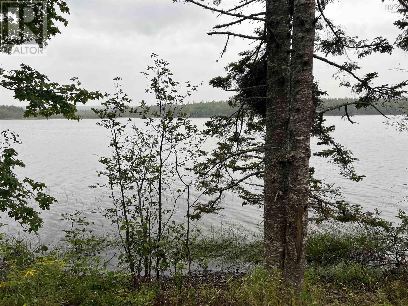 Lot 6 Lochiel Lake Road, South Lochaber, Nova Scotia  B2G 2L3 - Photo 6 - 202421160