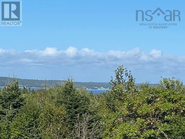 Lot 1 Old Highway 329, Bayswater, Nova Scotia  B0J 1T0 - Photo 2 - 202421170