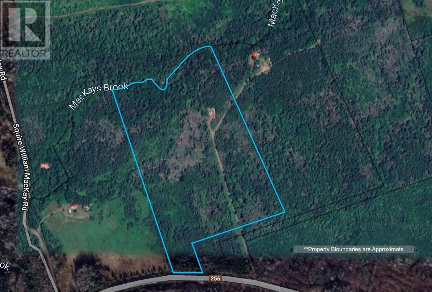 Lot 21-1 Highway 256, East Earltown, Nova Scotia  B0K 1V0 - Photo 13 - 202421316