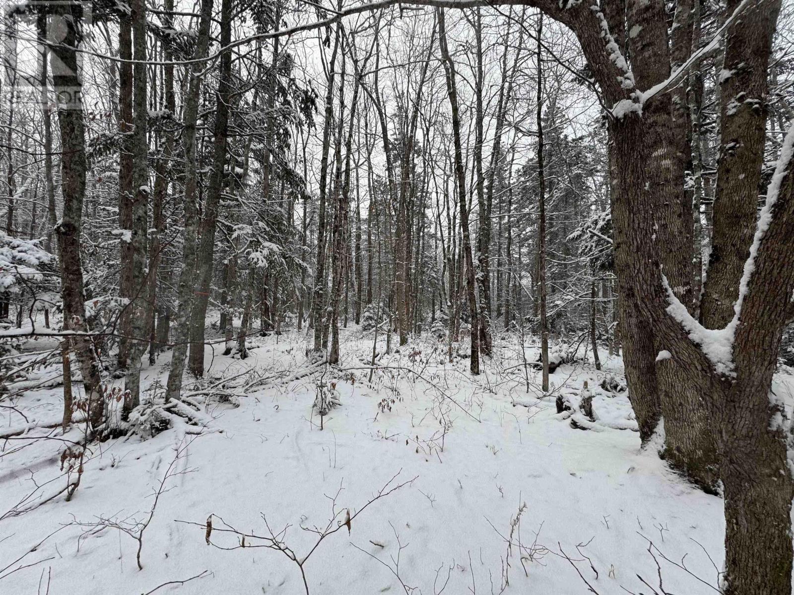 Lot 2 Outram Road, Mount Hanley, Nova Scotia  B0S 1P0 - Photo 13 - 202421334