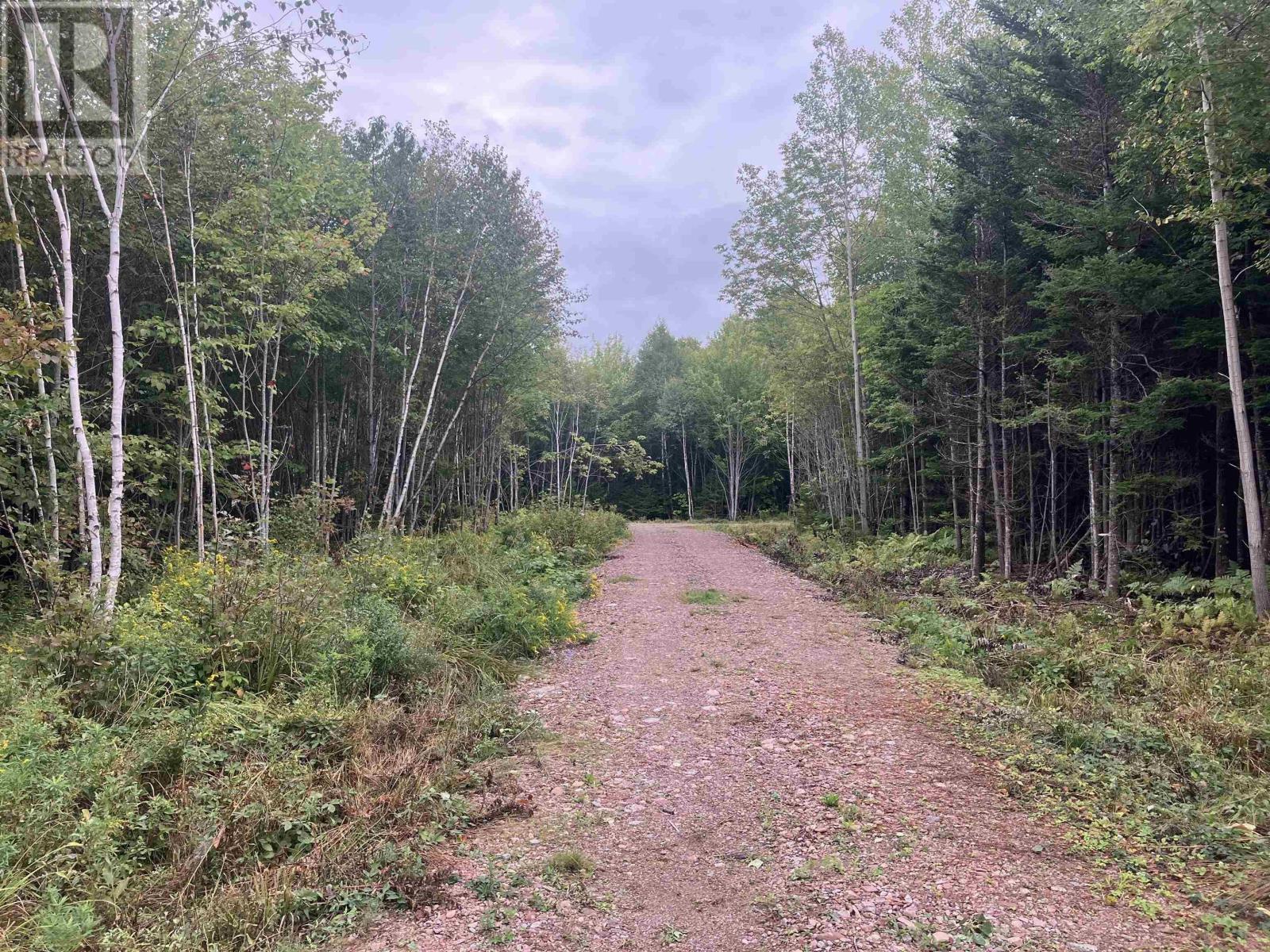 Lot 2020-5 Highway 223, Little Narrows, Nova Scotia  B0E 1T0 - Photo 2 - 202421431