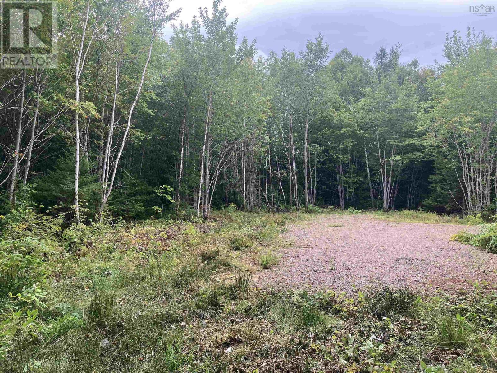 Lot 2020-5 Highway 223, Little Narrows, Nova Scotia  B0E 1T0 - Photo 3 - 202421431