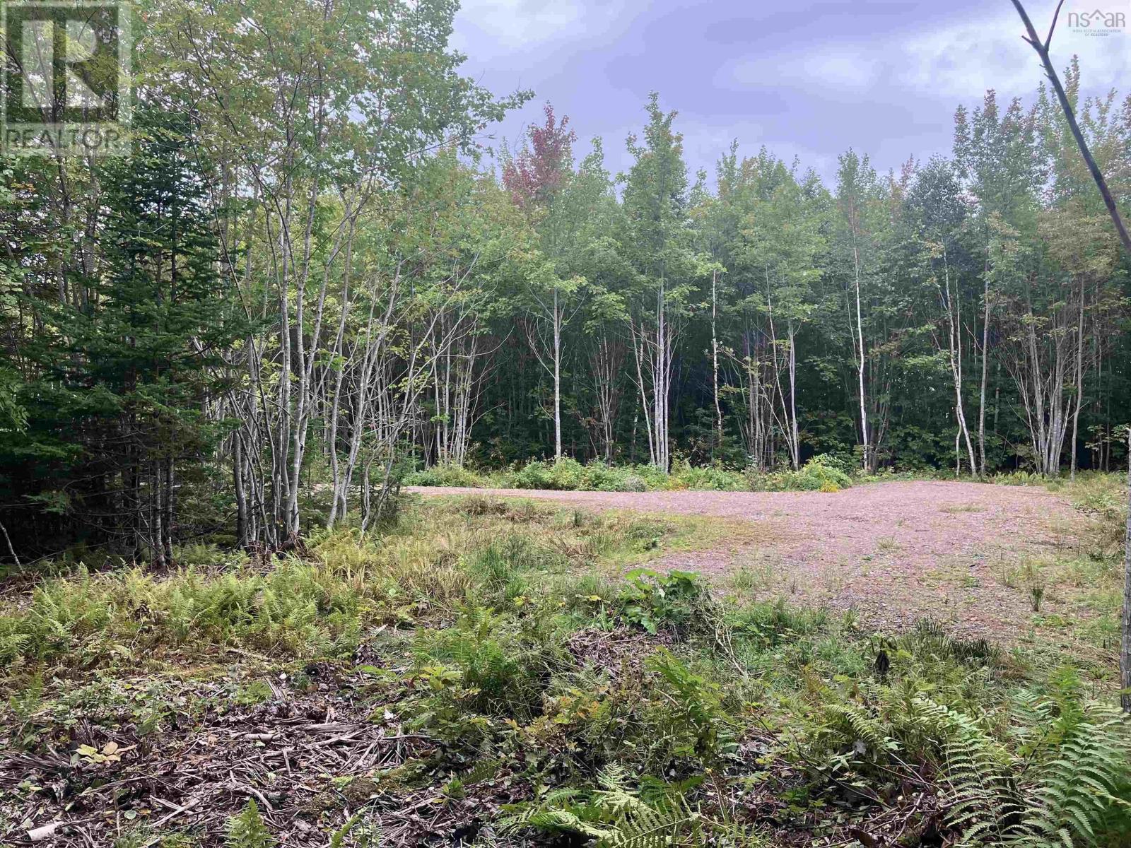 Lot 2020-5 Highway 223, Little Narrows, Nova Scotia  B0E 1T0 - Photo 4 - 202421431