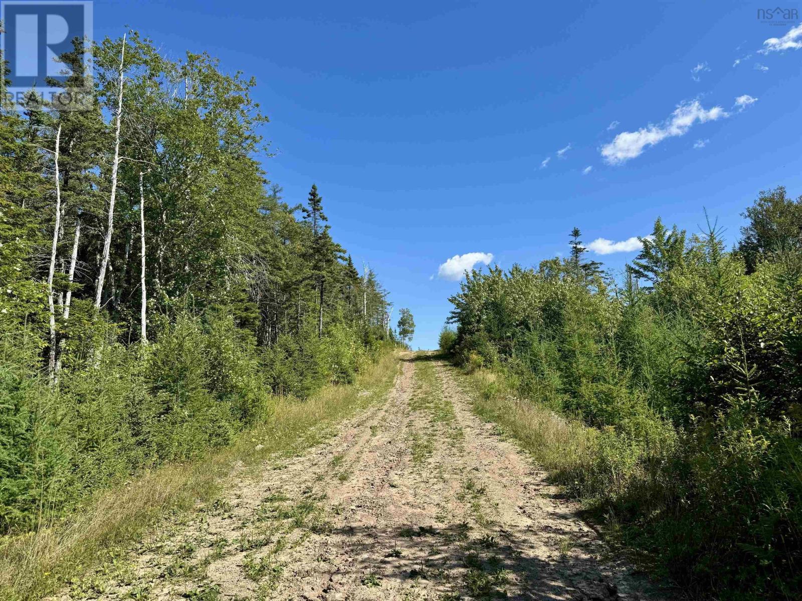 95 Acres West Bay Highway, Cape George, Nova Scotia  B0E 3B0 - Photo 16 - 202421497