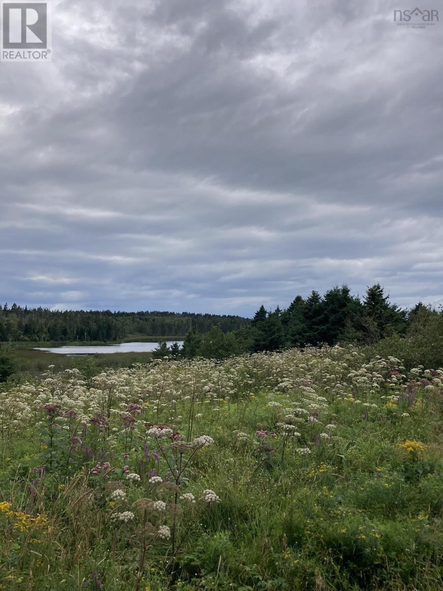 Lot Off Highway 247, Lower L'ardoise, Nova Scotia  B0E 1S0 - Photo 3 - 202421519